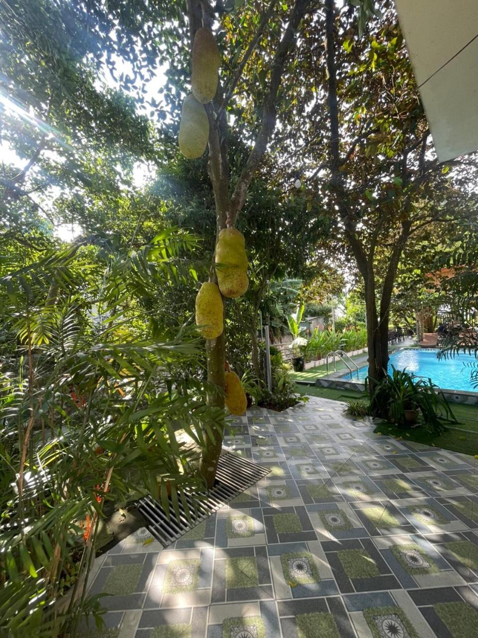 Tam Coc Relax Homestay Ninh Binh Exteriér fotografie
